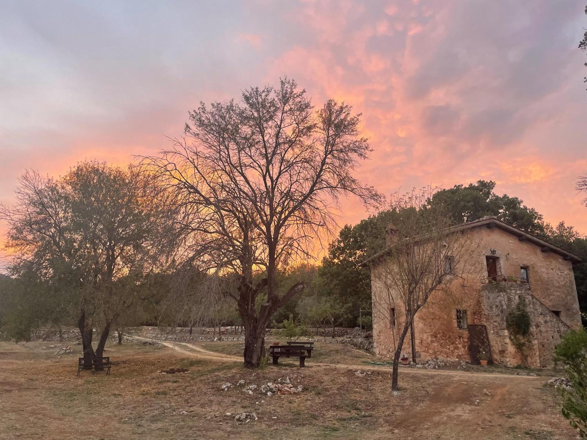 Agriturismo Il Caggio Sovicille Ngoại thất bức ảnh