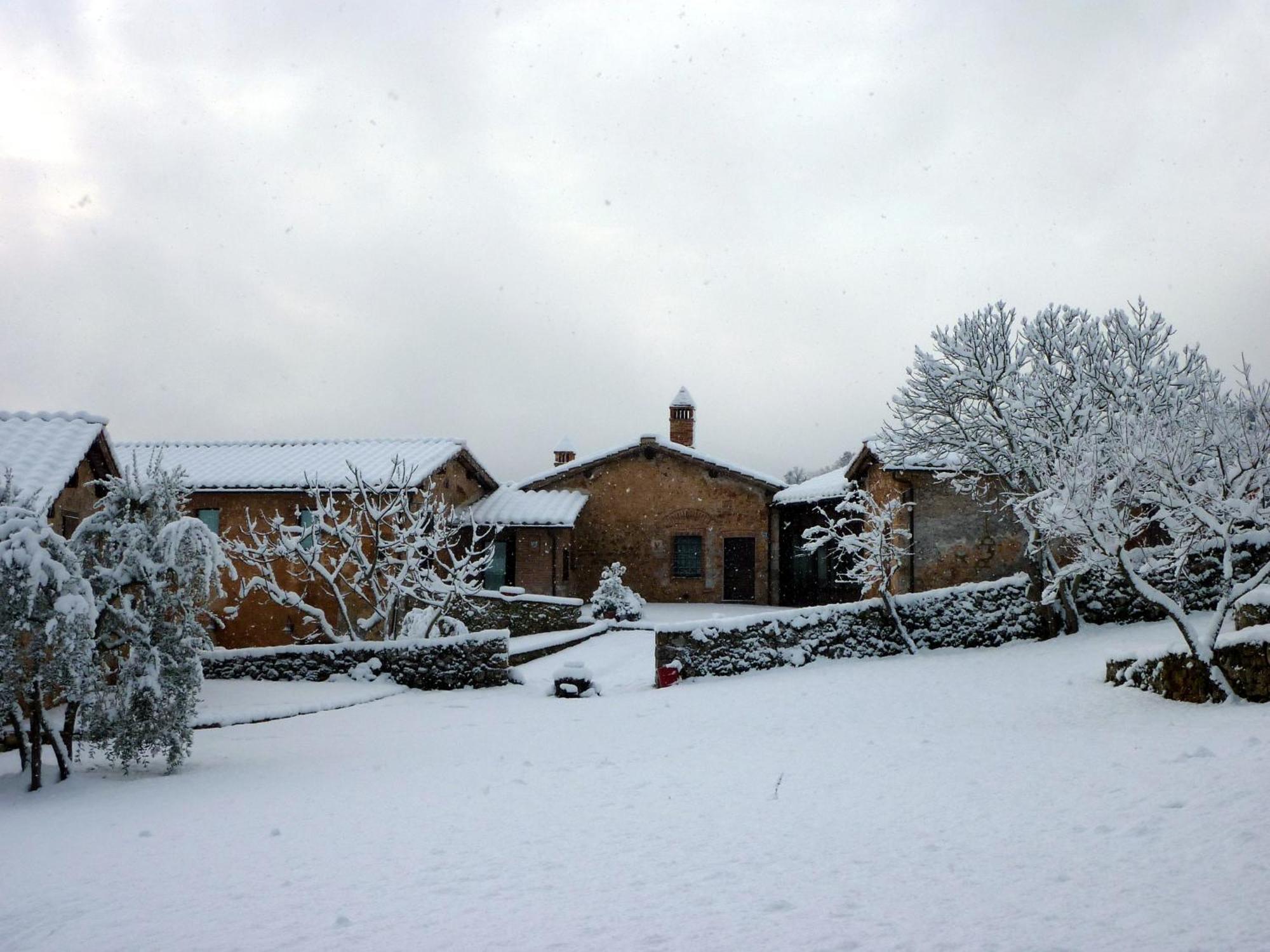 Agriturismo Il Caggio Sovicille Ngoại thất bức ảnh